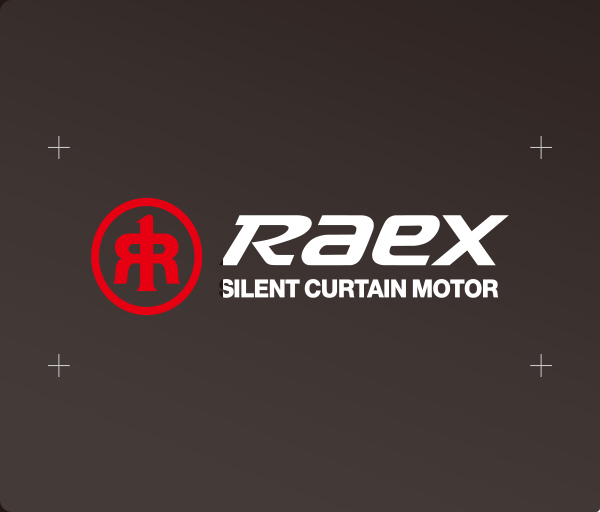 <em>RAEX 品牌</em>核心價值